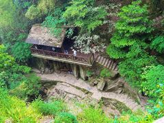 -莫干山风景区