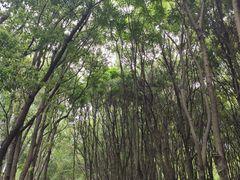 -同里国家湿地公园