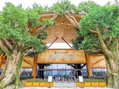 -杭州开元森泊度假乐园