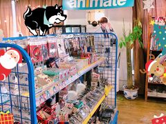 -Animate(工人体育场东路店)