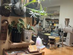-本無咖啡·BeanWood Coffee