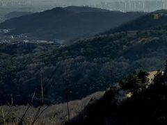 -北京西山国家森林公园