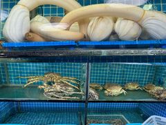 -老郑海鲜楼(天桥店)