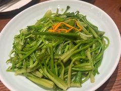 清炒水性杨花-老滇山寨•云南特色菜•地方菜•民族风情歌舞表演(金碧店)