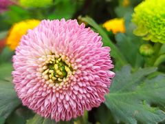 -共青国家森林公园-售票处