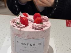 -山与蓝·轻糖鲜果蛋糕(勒泰店)