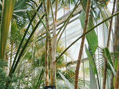 -北京植物园-展览温室