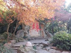 -杭州黄龙洞