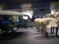 -秦始皇帝陵博物院-丽山园
