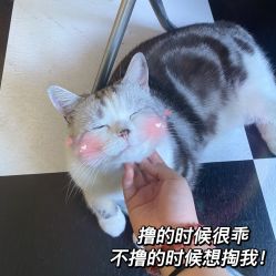 -众刺纹画·纹身·穿孔饰品·海娜定制