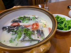 -全乐鱼馆·淳牌有机鱼直营店
