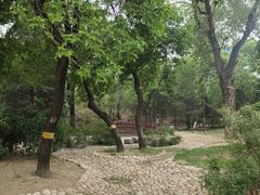 -元大都城垣遗址公园