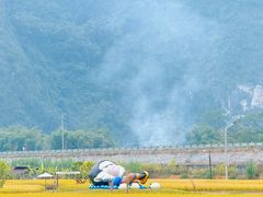 -明仕田园