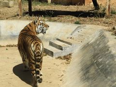 -昆明动物园