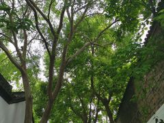 -南京市民俗博物馆(甘熙故居)