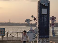 -丁香湖公园