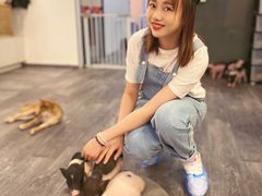-浣熊柯尔鸭土拨鼠·电玩咖