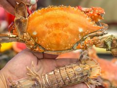 -乔哥铭洋海鲜自助(皇城恒隆广场店)