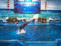 -多彩贵州城极地海洋世界