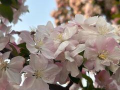 -牛栏山市场
