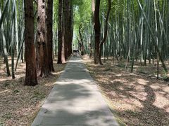 -同里国家湿地公园