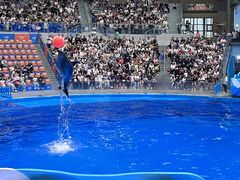 -海合安成都极地海洋公园