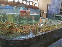 水产区-凯逸轩·匠心粤菜(中城名仕汇店)