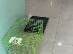 -佳雯宠物医院·皮肤科·内外科(春晓路分院)