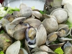 沙地花甲火锅料-百丈园龙江啫神馆