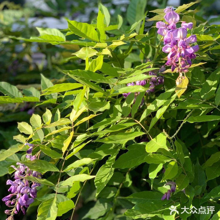 巴塞尔（又称为巴泽尔，德：Basel，法：B氀攀