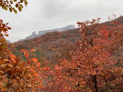 -周口店坡峰岭风景区
