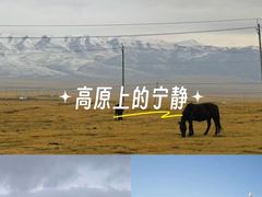 -祁连山草原