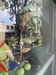 -新时模型(新街口店)