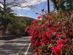 -海南热带雨林国家公园吊罗山景区