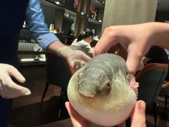 -肆月河豚·淮扬菜·湘菜(华天店)
