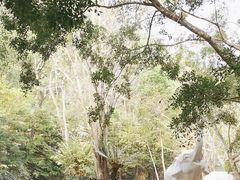 -野象谷景区