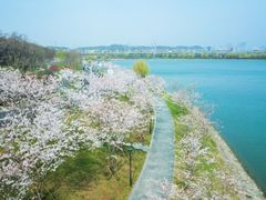 -羊山湖公园
