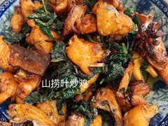 -阿清嫂农家乐.黎窑烤鸡