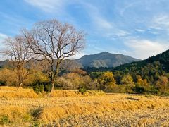 -塔川景区