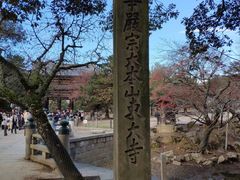 -奈良公园