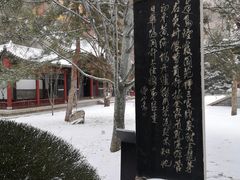 -碑林公园