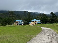 -海南热带雨林国家公园吊罗山景区