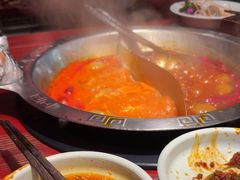 -袁老四重庆老火锅(桐梓坡店)