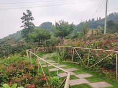 -玫瑰庄园·自助烧烤·烤全羊·团建拓展(龙泉山店)