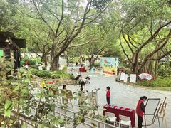 -广州雕塑公园