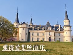 -北京张裕爱斐堡酒庄