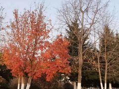 -长春世界雕塑园冰雪艺术天地