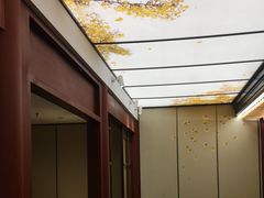-京味斋·烤鸭·北京菜(安贞店)