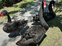 -昆山城市生态森林公园