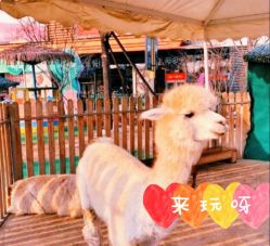 -萌宠亲子动物乐园(槐房万达店)